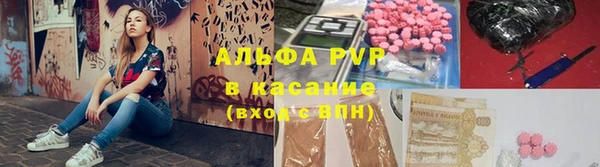 PSILOCYBIN Майский