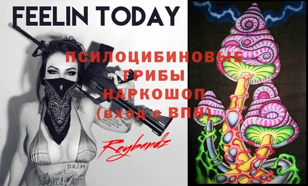 PSILOCYBIN Майский