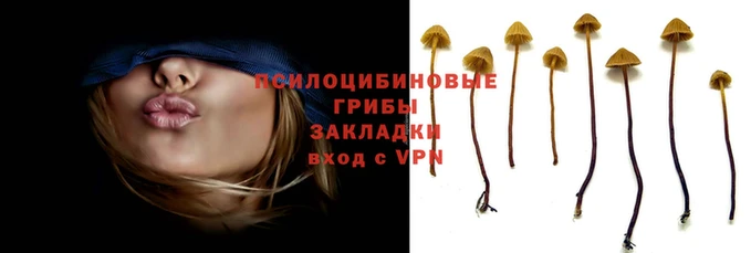 бутик Магас