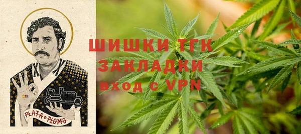 PSILOCYBIN Майский