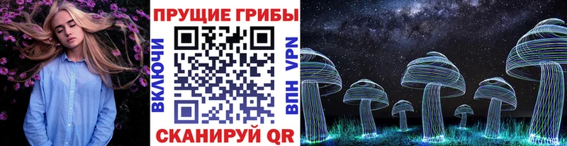 Псилоцибиновые грибы ЛСД  купить закладку  Сретенск 
